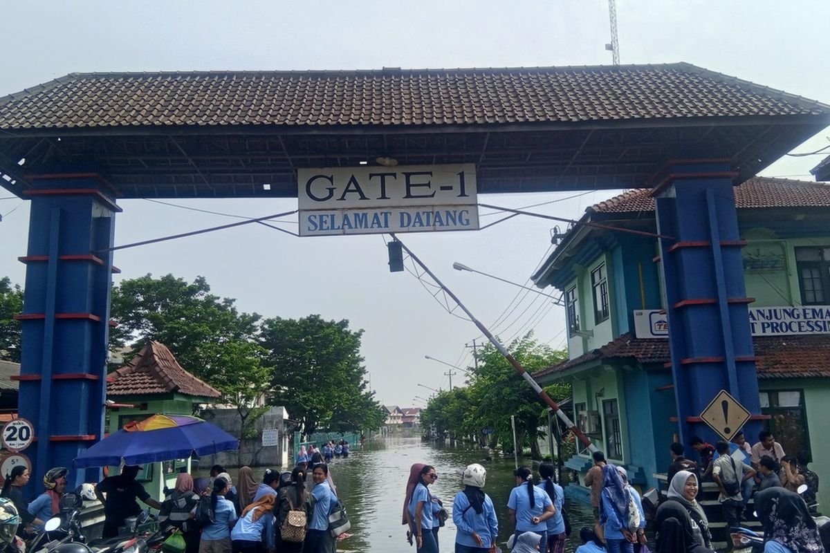 Pelabuhan Tanjung Emas Semarang Terendam Genangan 50 Cm, Kawasan Lamicitra Lumpuh Akibat Banjir Rob