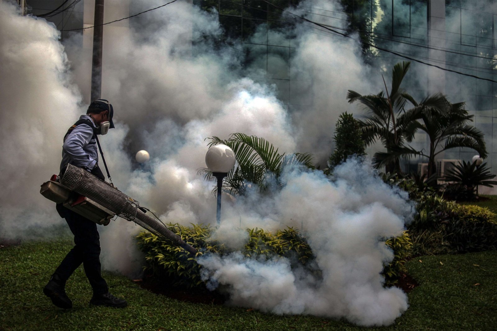 Waspada Demam Berdarah! Kasus DBD Mulai Muncul di Bangkalan, Dinkes Berikan Layanan Fogging Gratis