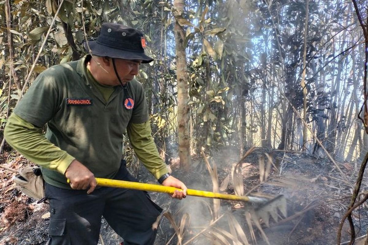 Waspada Kemarau! El Nino 2026 Mengancam Jawa hingga Kalimantan, Tetapi Bukan Terparah dalam Sedekade