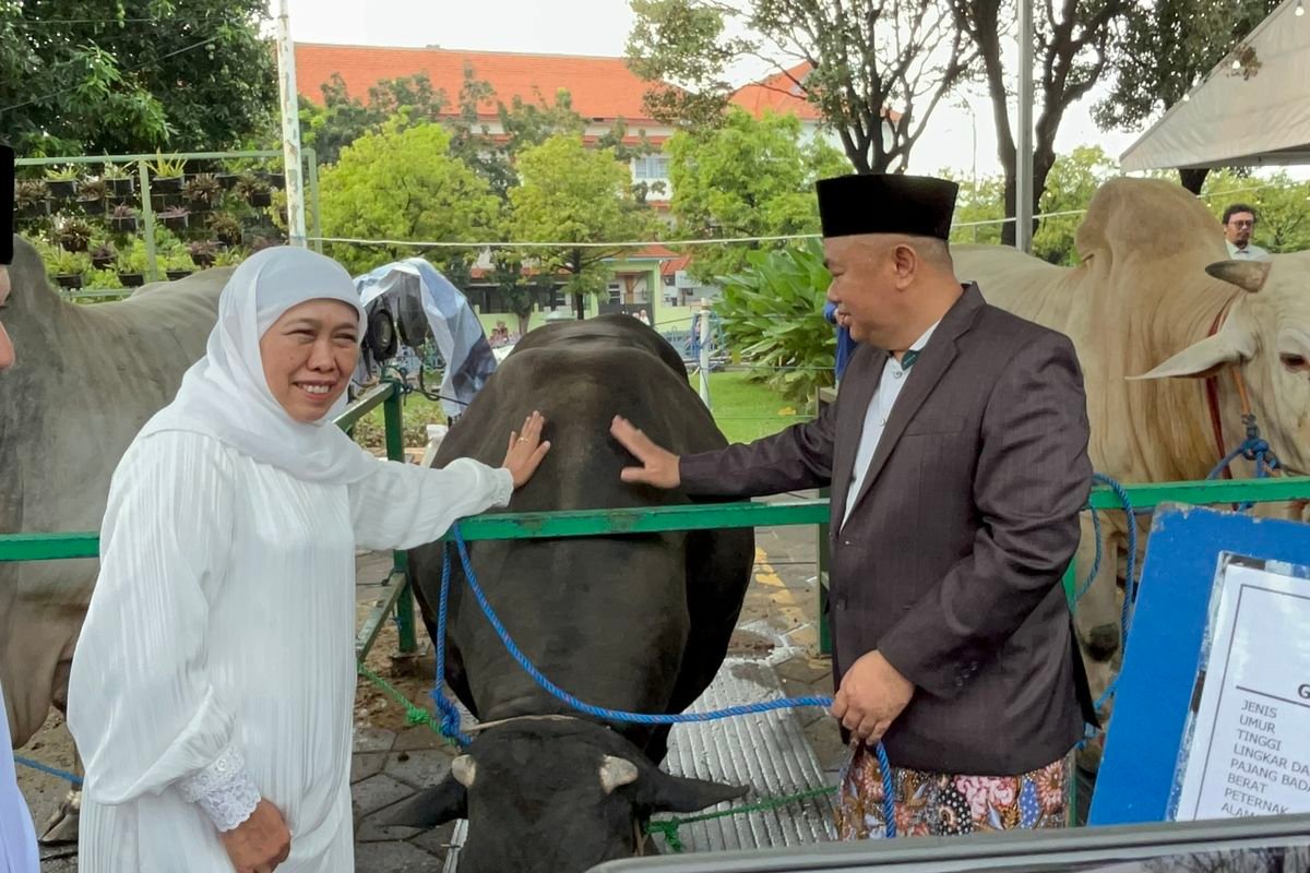 Transformasi Belanja Ternak! Marak Fenomena Kurban Digital, Gubernur Khofifah Sebut Menunjang Penjualan Peternak Lokal