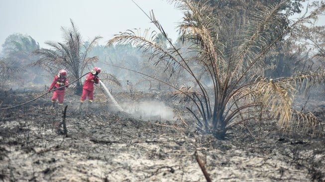 80226-karhutla-jambi-karhutla-di-jambi-ilustrasi-karhutla-ilustrasi-kebakaran-hutan