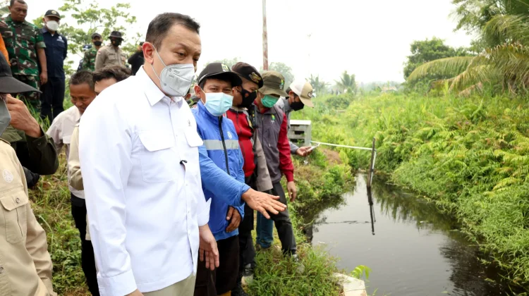 full_1787491010204985_30e9850923_berita_pontianak