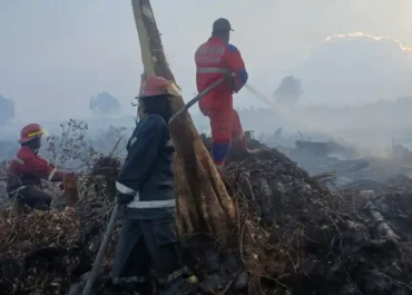 Pemerintah Izinkan 35 Pesawat Asing Bantu Padamkan Karhutla di Kalimantan
