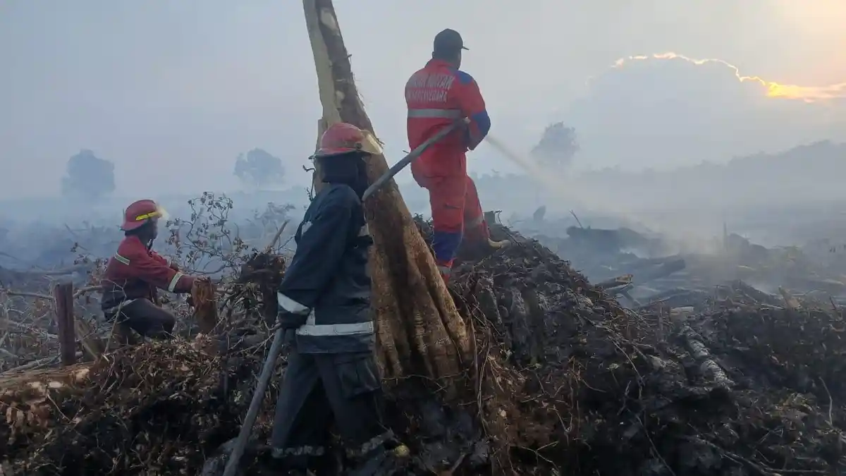 Pemerintah Izinkan 35 Pesawat Asing Bantu Padamkan Karhutla di Kalimantan