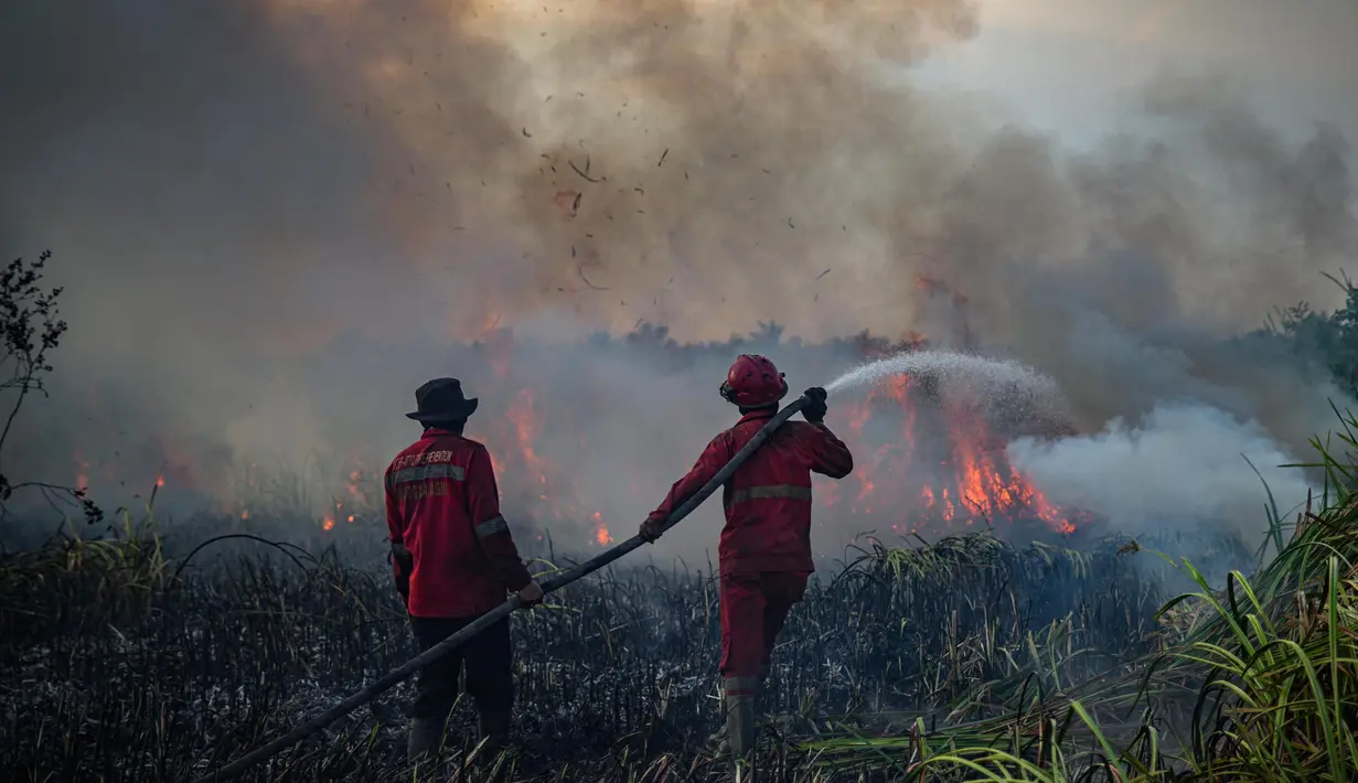 Seluruh Sumut Diselimuti Asap Karhutla, Jarak Pandang Turun hingga 1 Km