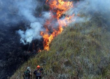 Korban Tewas Karhutla Bromo Bertambah Jadi 6 Orang