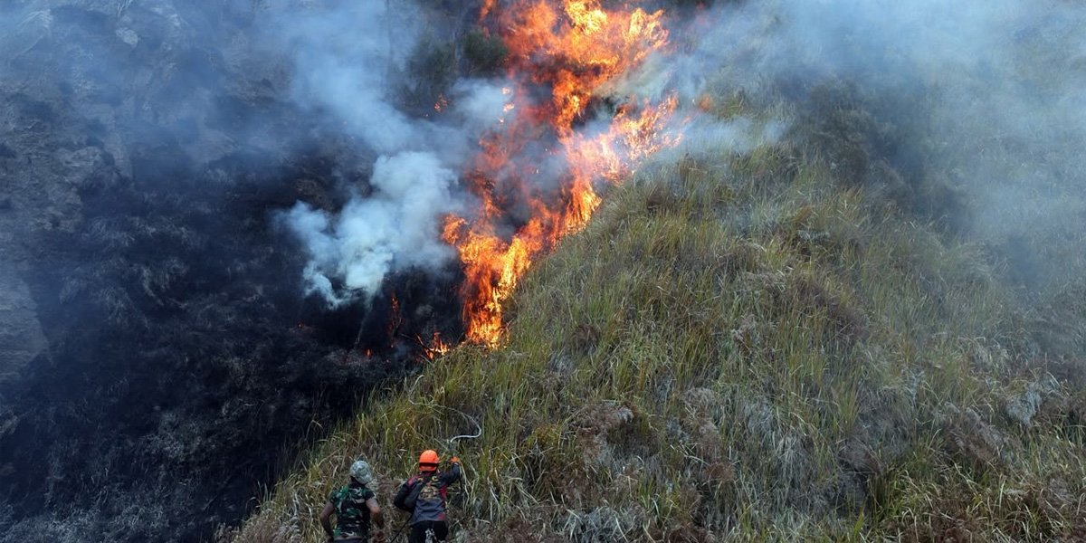 Korban Tewas Karhutla Bromo Bertambah Jadi 6 Orang